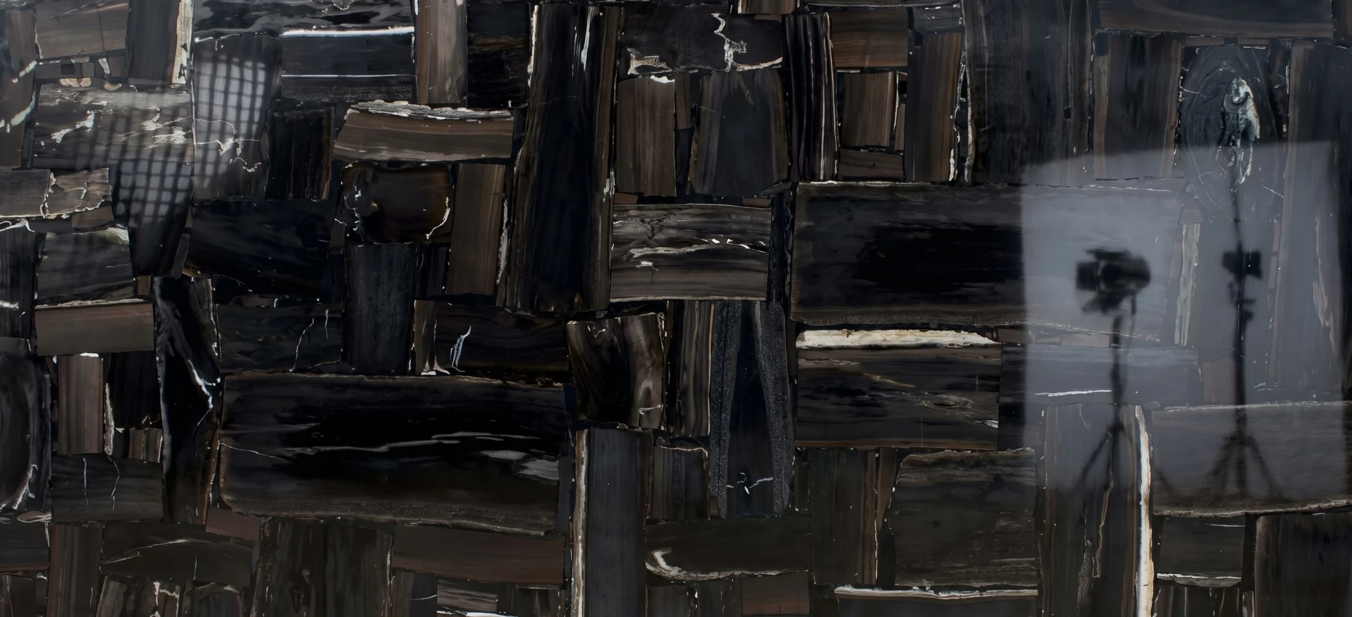 Referencia visual de piedra Black Petrified Wood