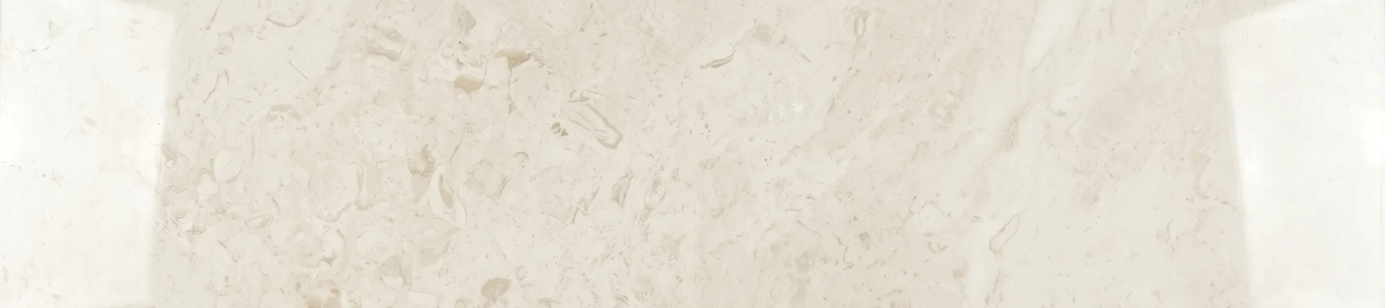 Referencia visual de piedra Caribbean Shell