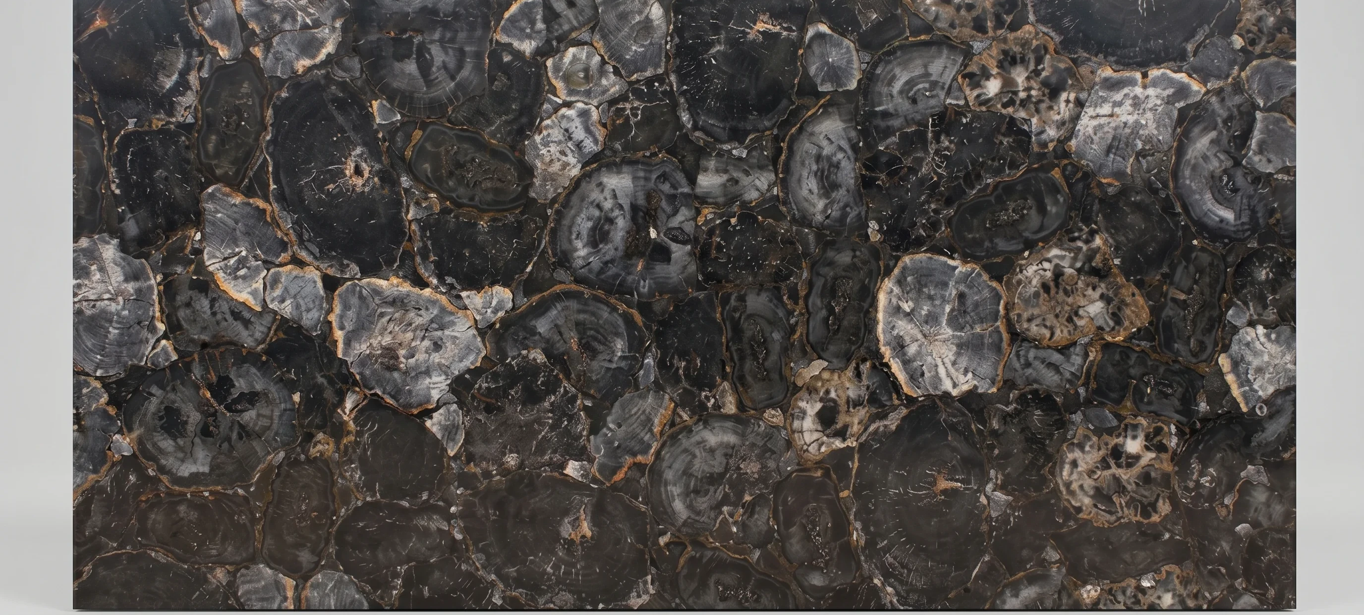 Referencia visual de piedra Grey Petrified Wood