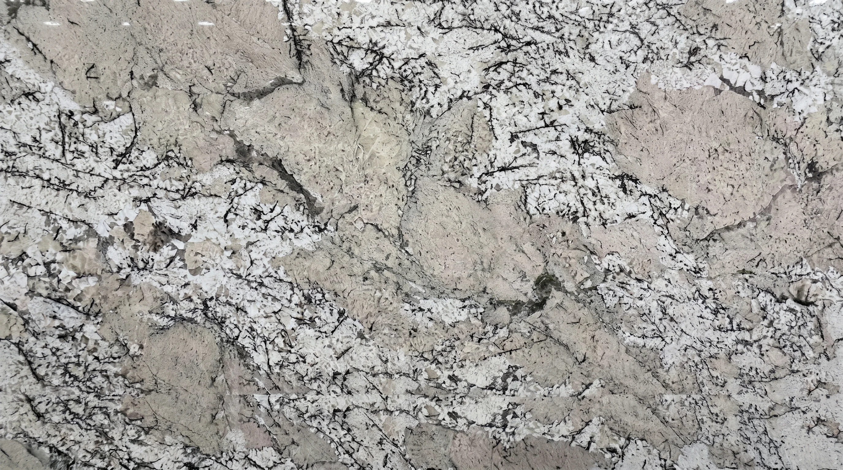 Referencia visual de granito Alpinus Translux