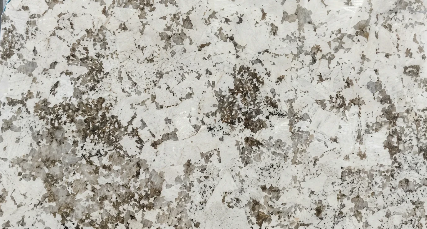 Referencia visual de granito Blanc Luminix