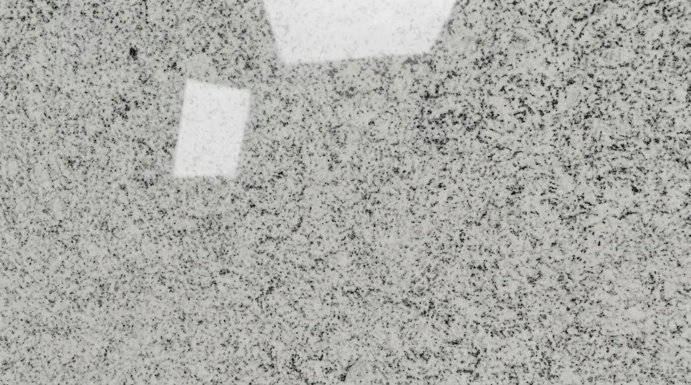 Referencia visual de granito Blanco Dallas