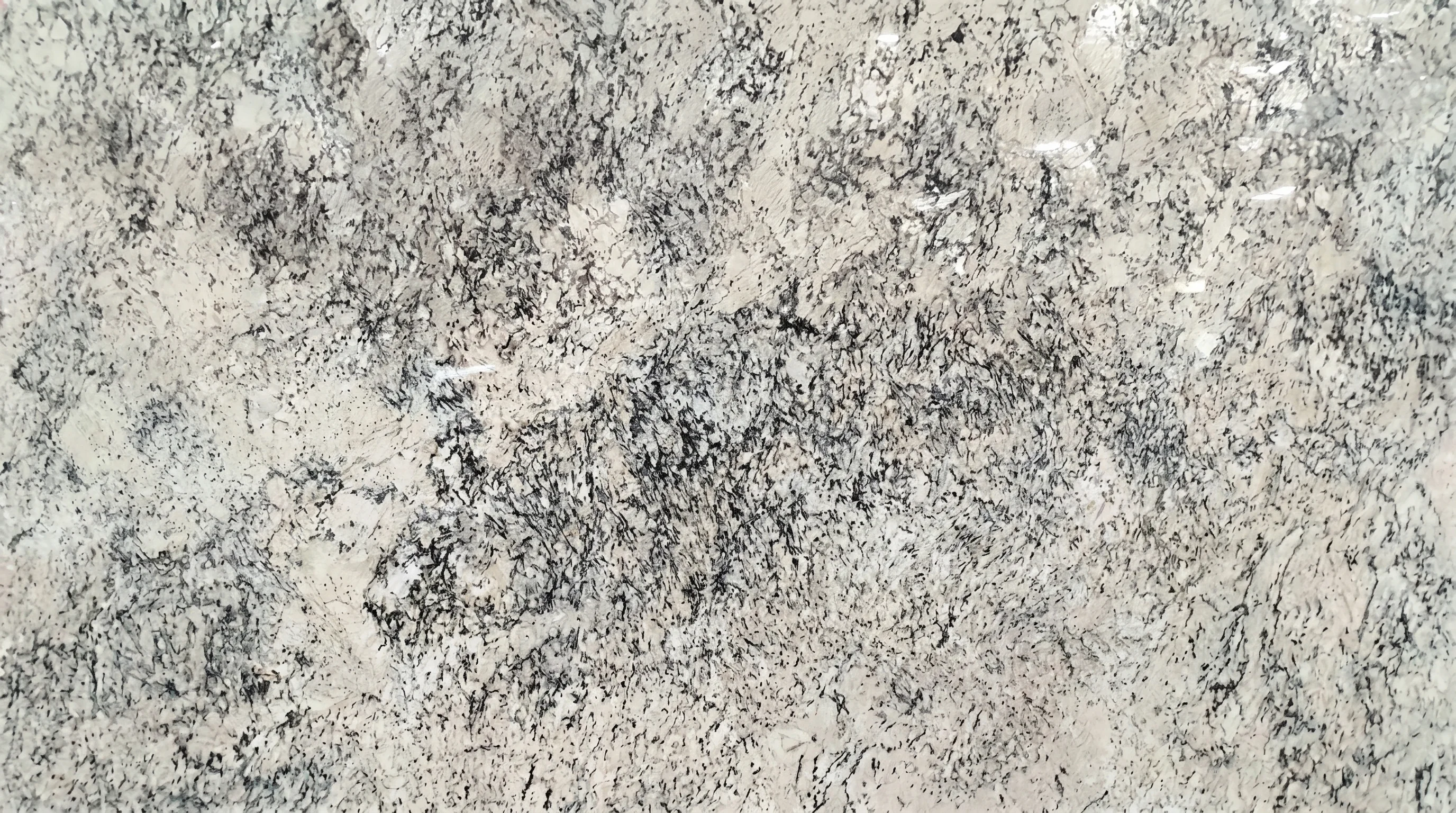 Referencia visual de granito Blanco Romano White Ice