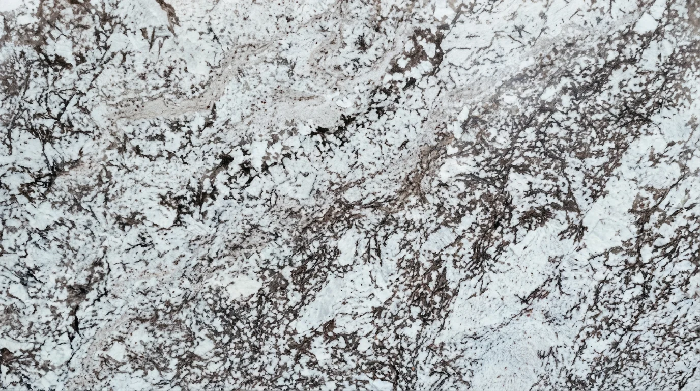 Referencia visual de granito Olympus White