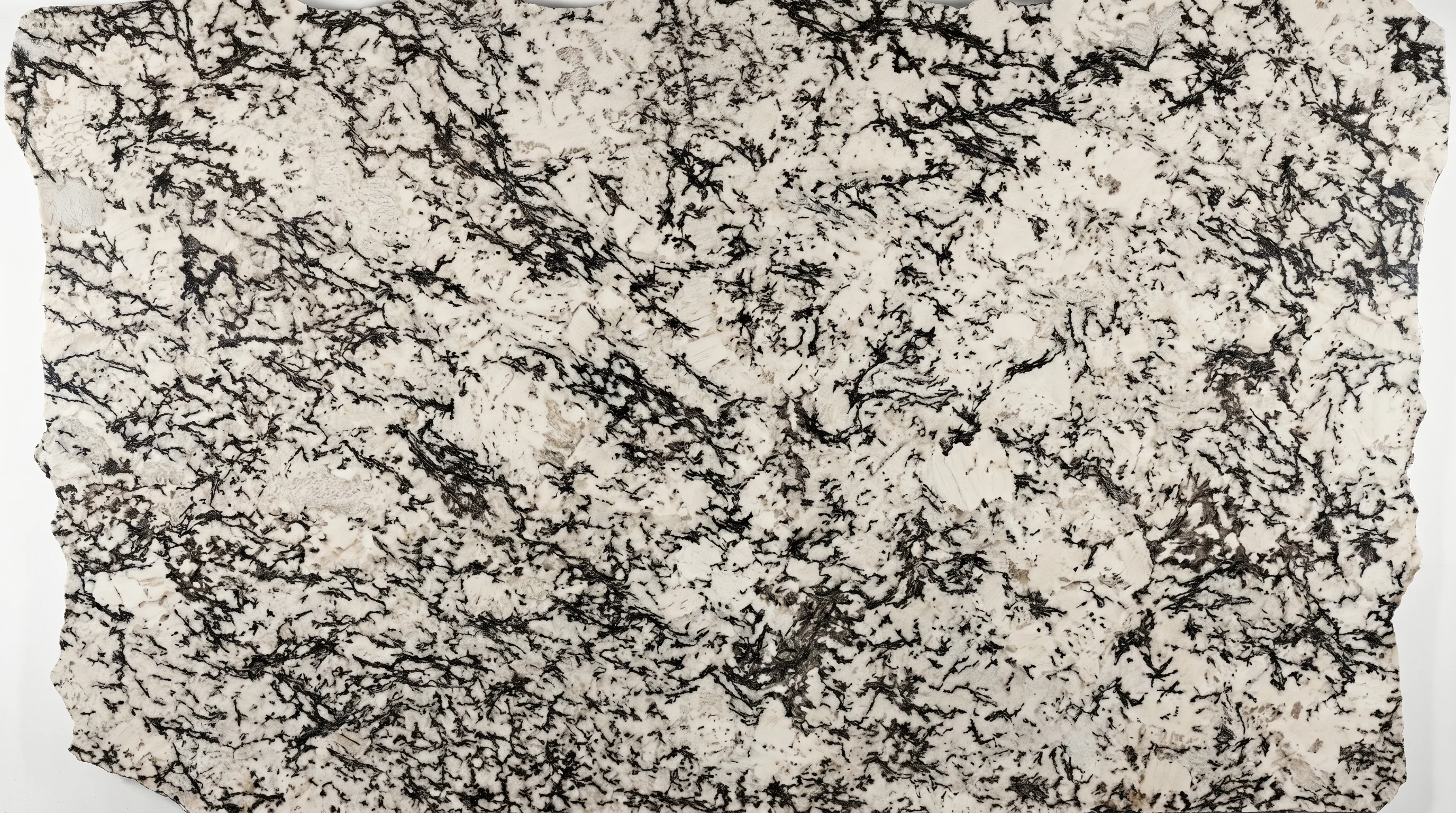 Referencia visual de granito White Orion Cepillado