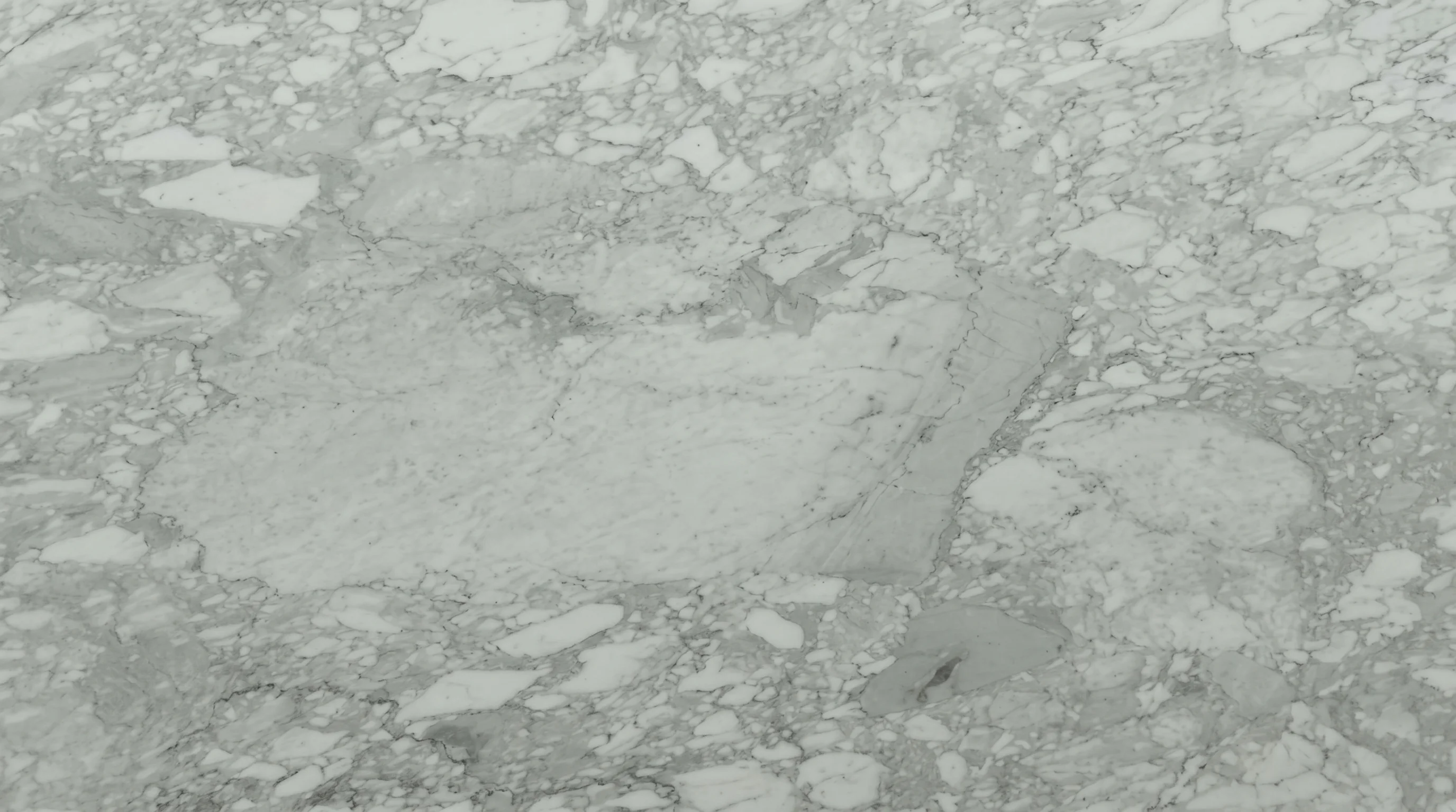 Referencia visual de mármol Arabescato Carrara