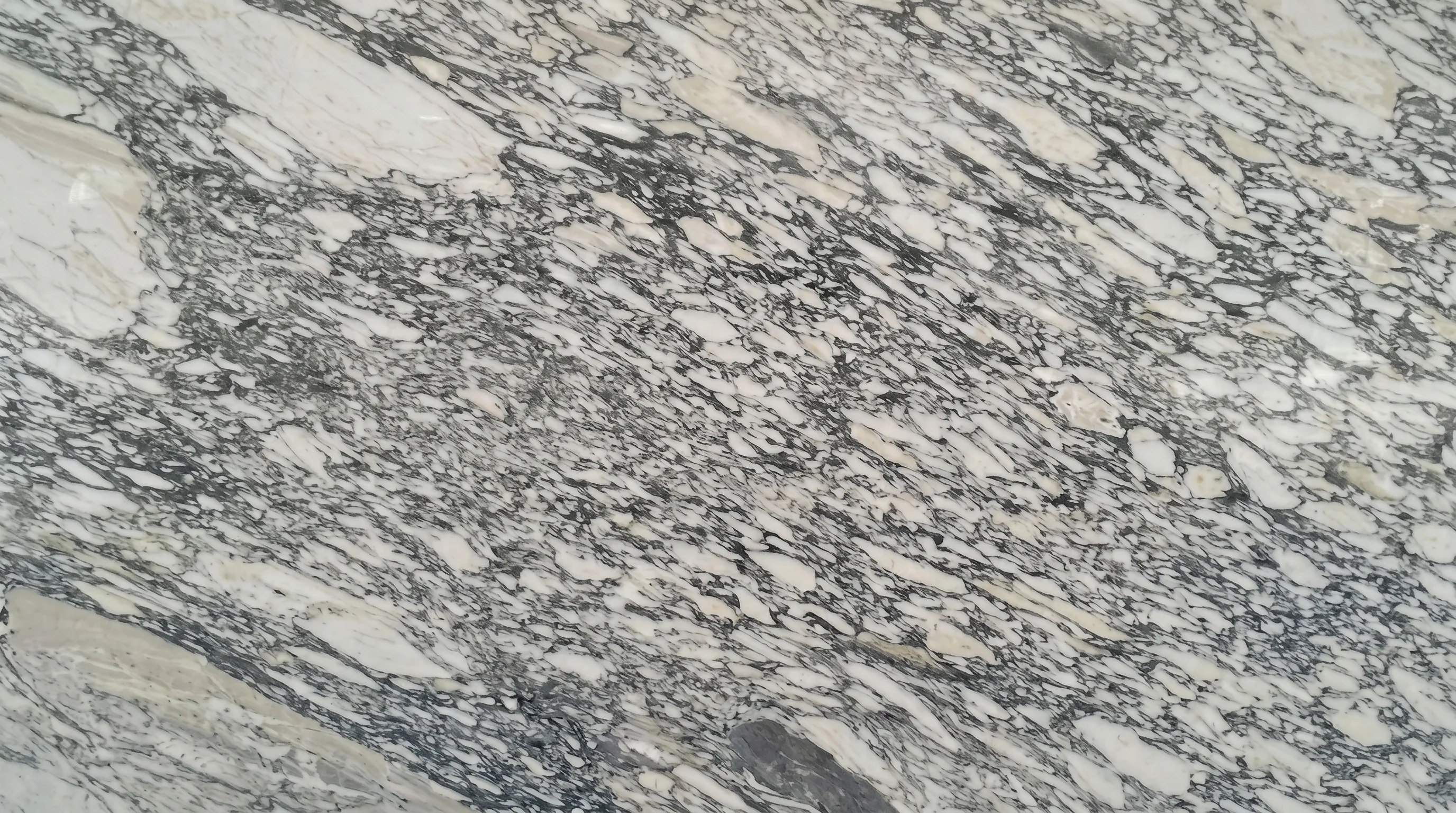 Referencia visual de mármol Arabescato Corchia