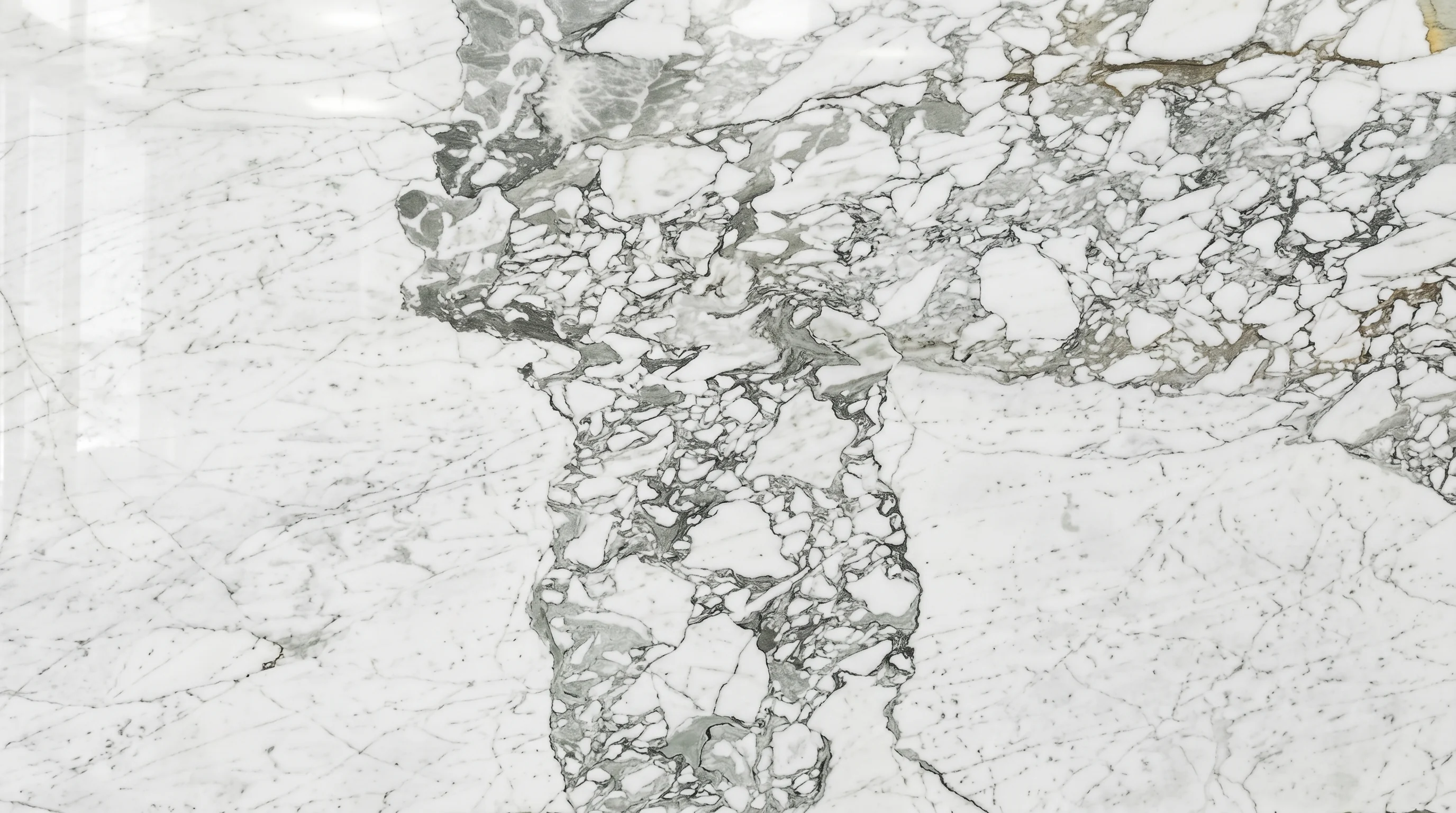 Referencia visual de mármol Arabescato Eco