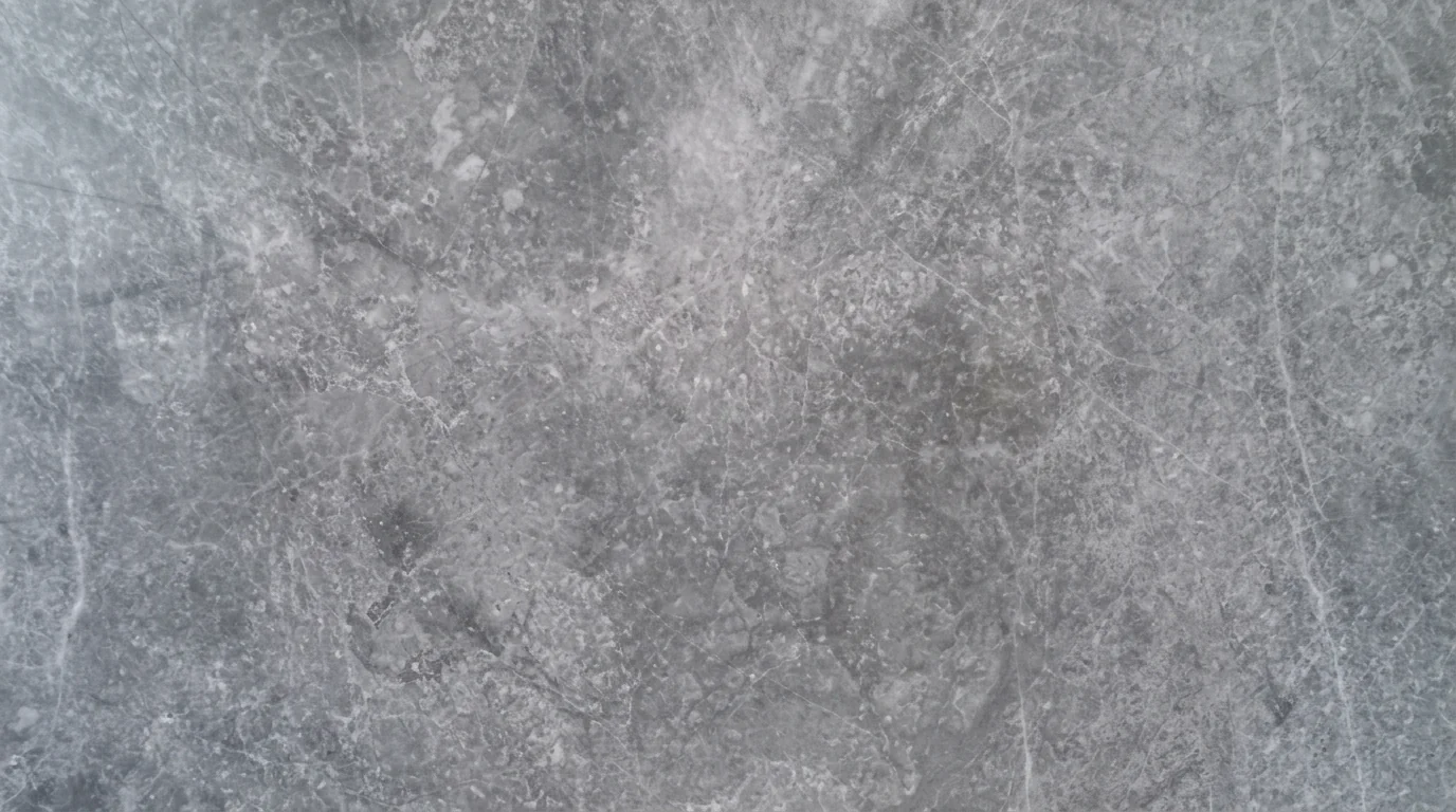 Referencia visual de mármol Era Silver