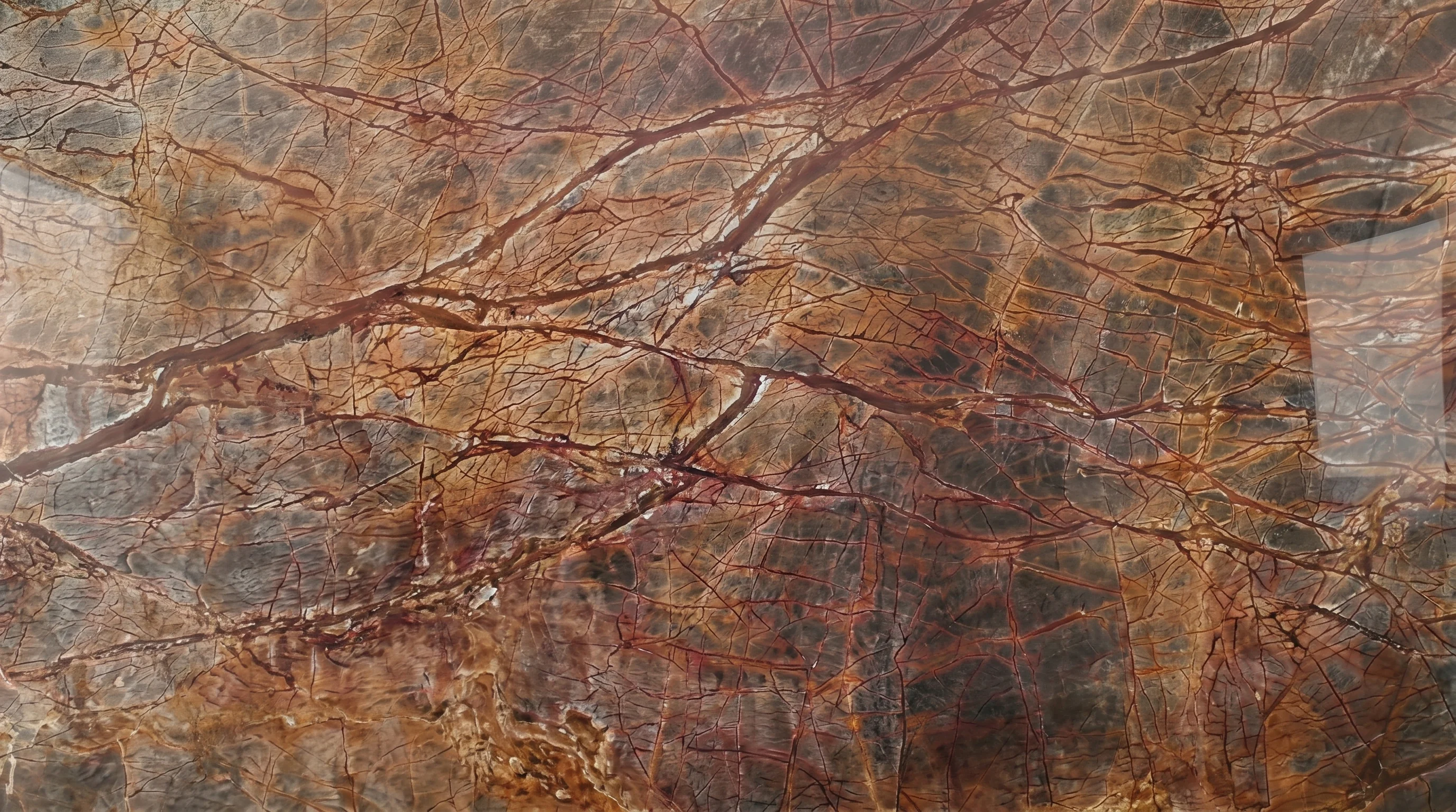 Referencia visual de mármol Rain Forest Brown
