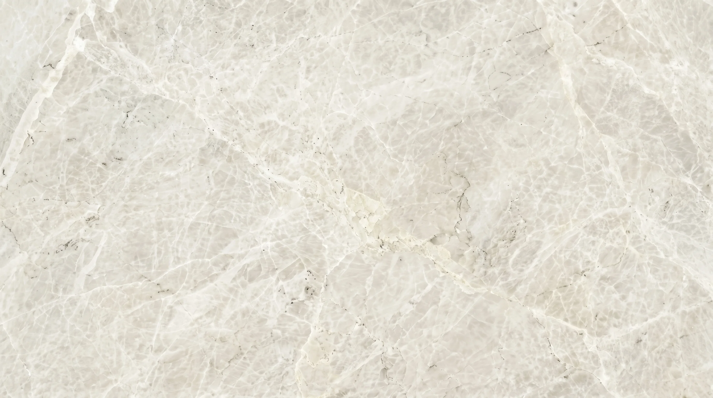 Referencia visual de mármol Vanilla White Mate