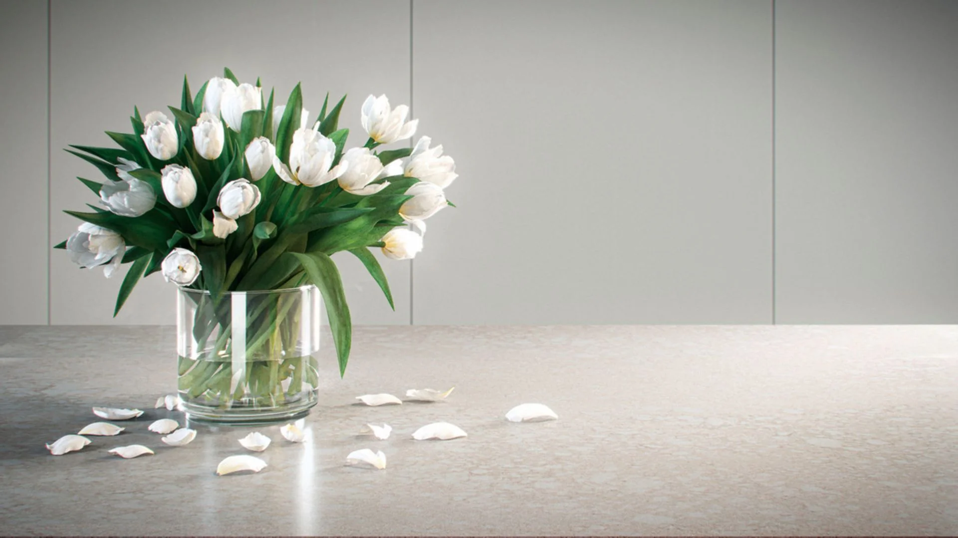 Adamina ambiente 3