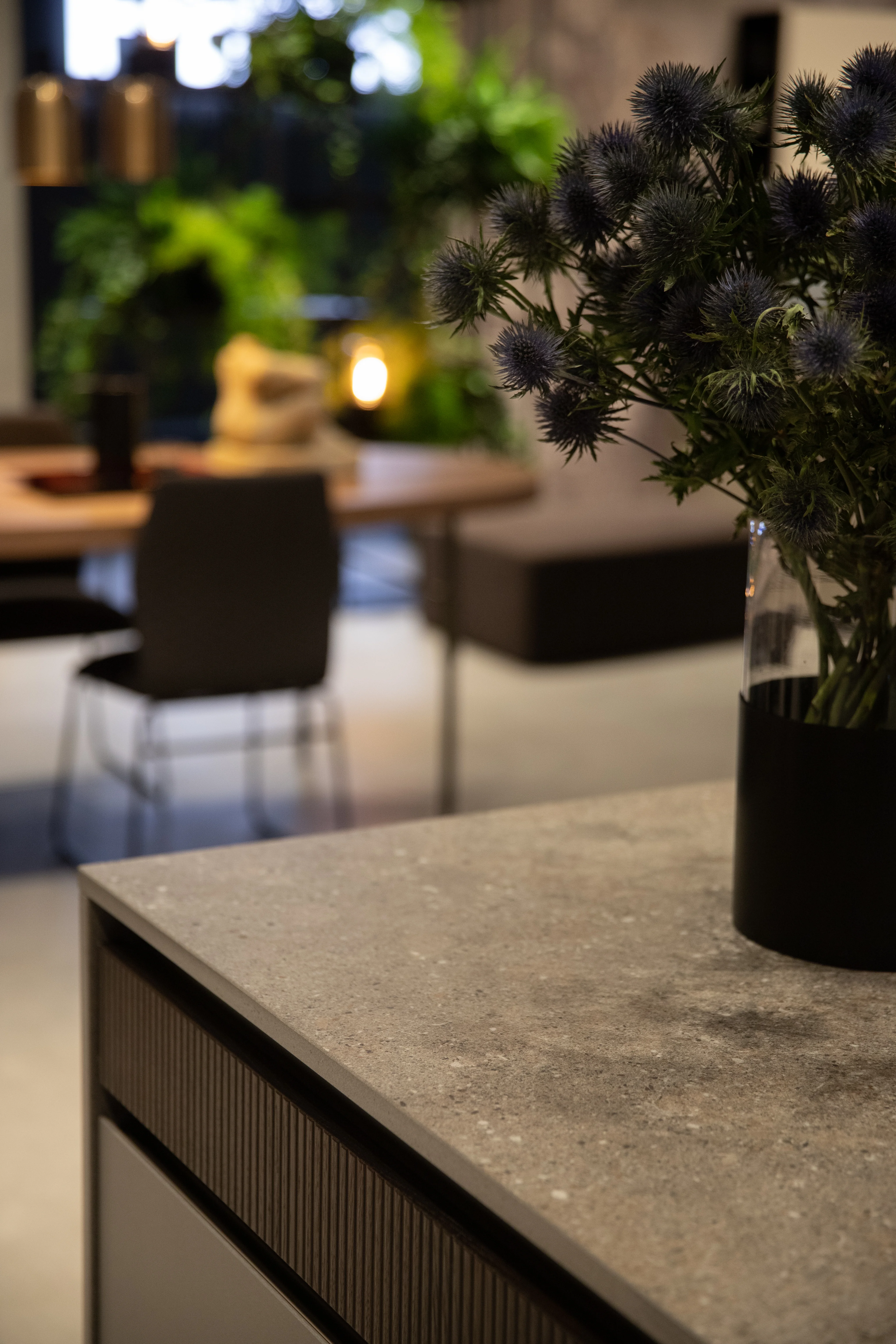 Wulong ambiente