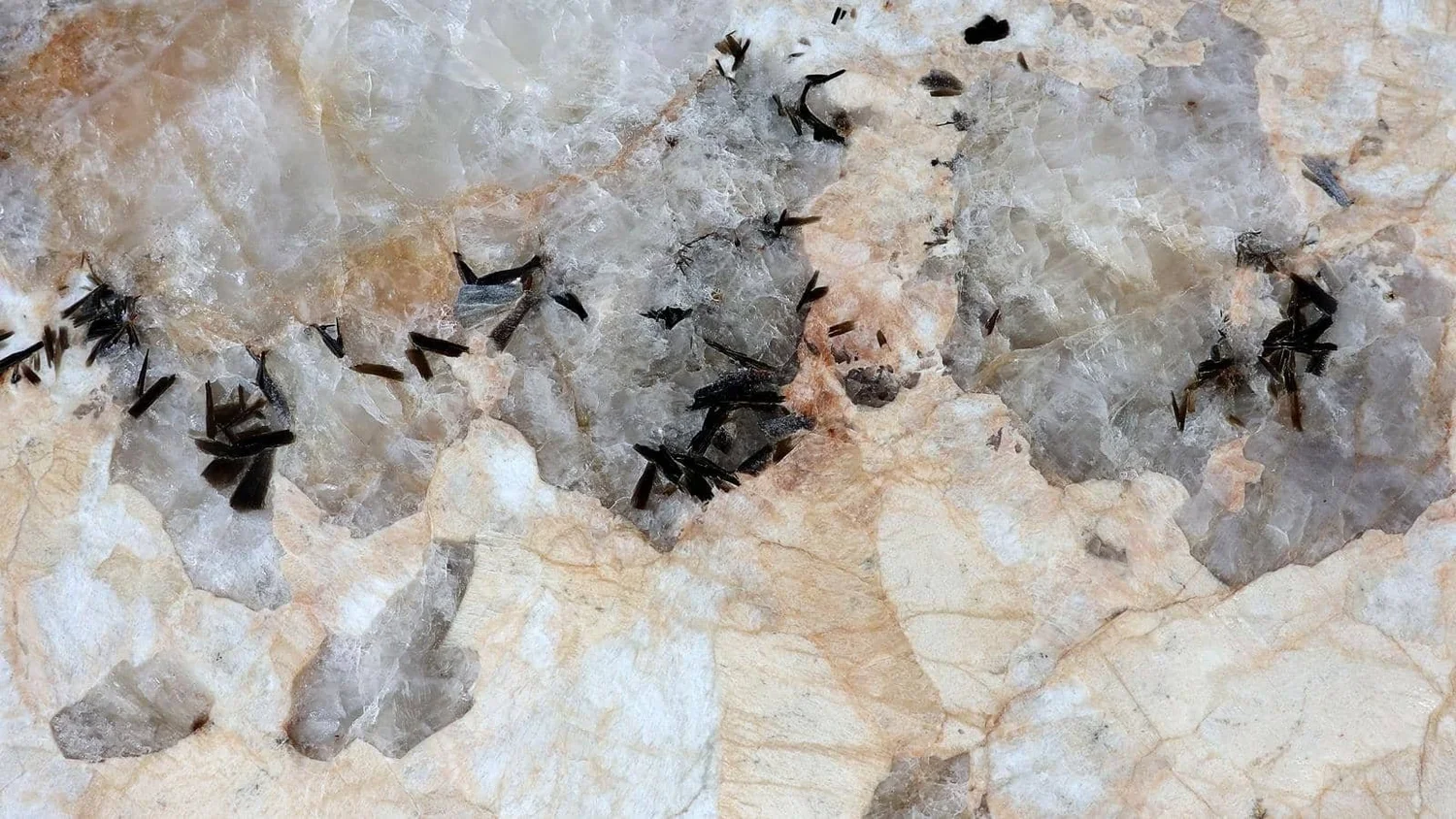 Placa de cuarcita Patagonia Tempus Monterrey