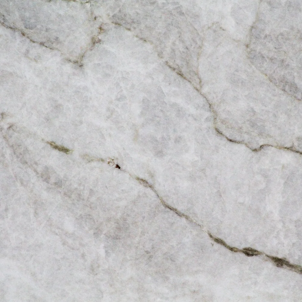 Placa de cuarcita Taj Mahal Leather Finish Tempus Monterrey