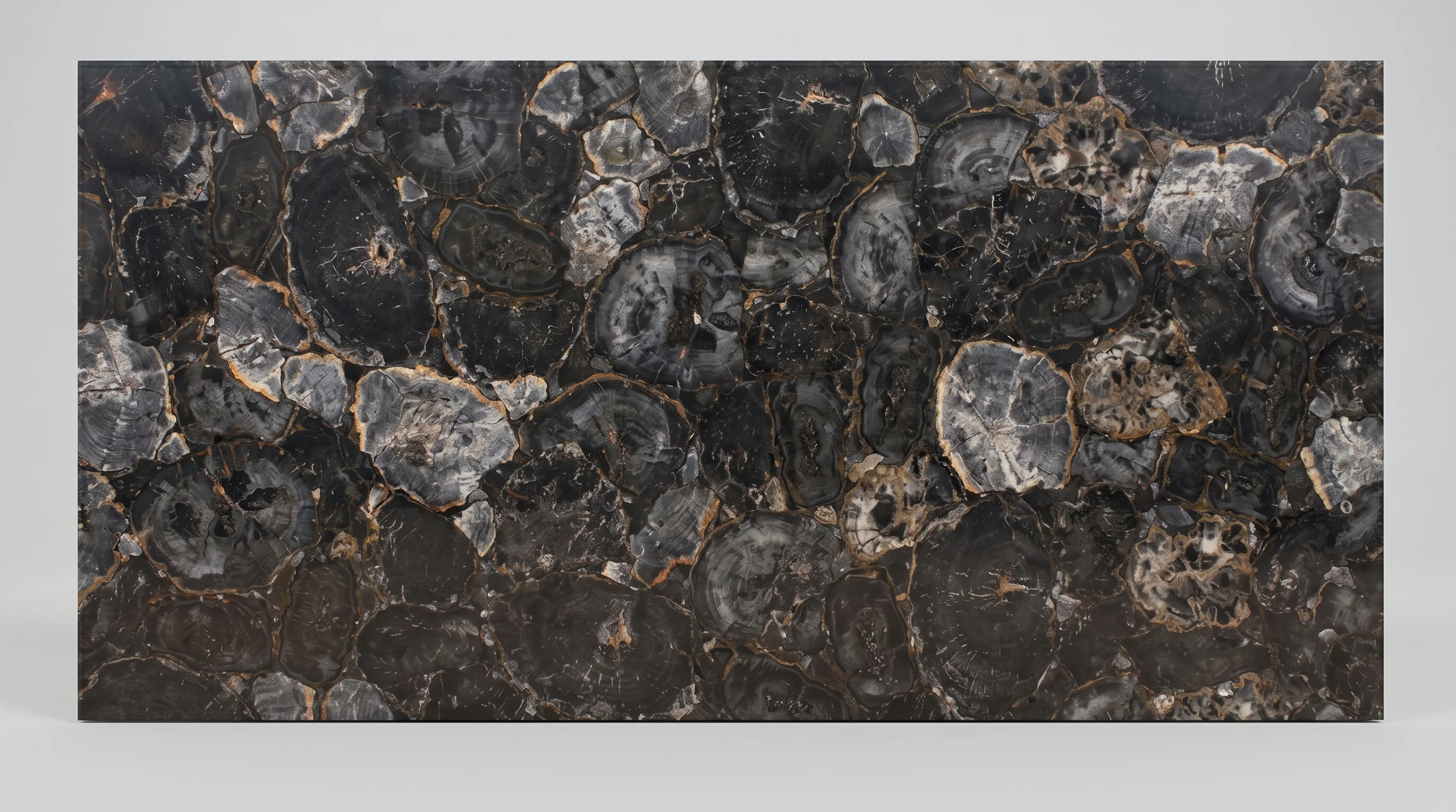 Placa de piedras especiales Grey Petrified Wood Tempus Monterrey