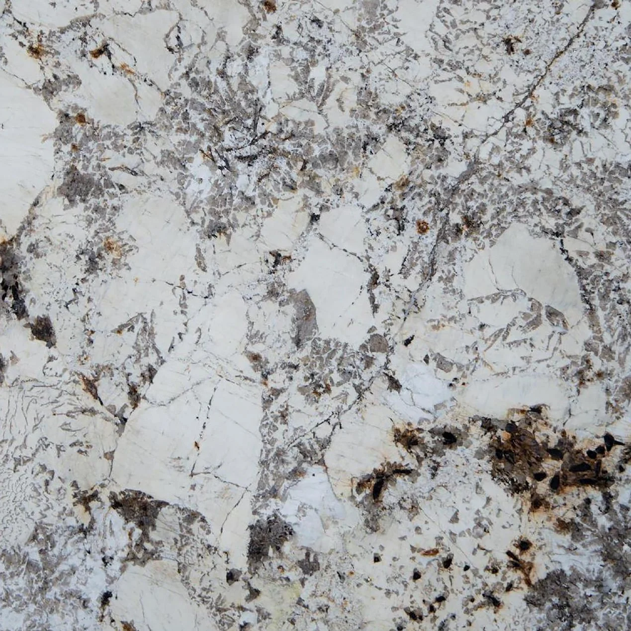 Placa de granito Blanc Du Blanc Tempus Monterrey