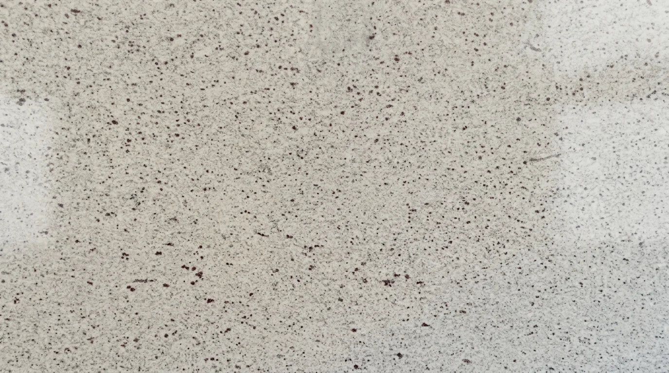 Placa de granito White Galaxy — Tempus Monterrey