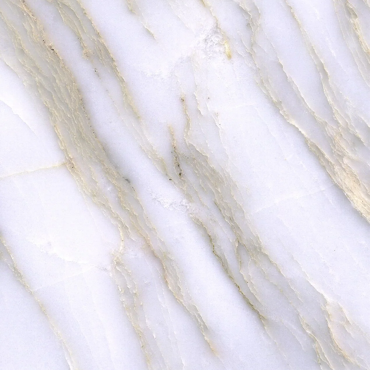 Placa de marmol Calacatta Apuano Vein Cut Tempus Monterrey