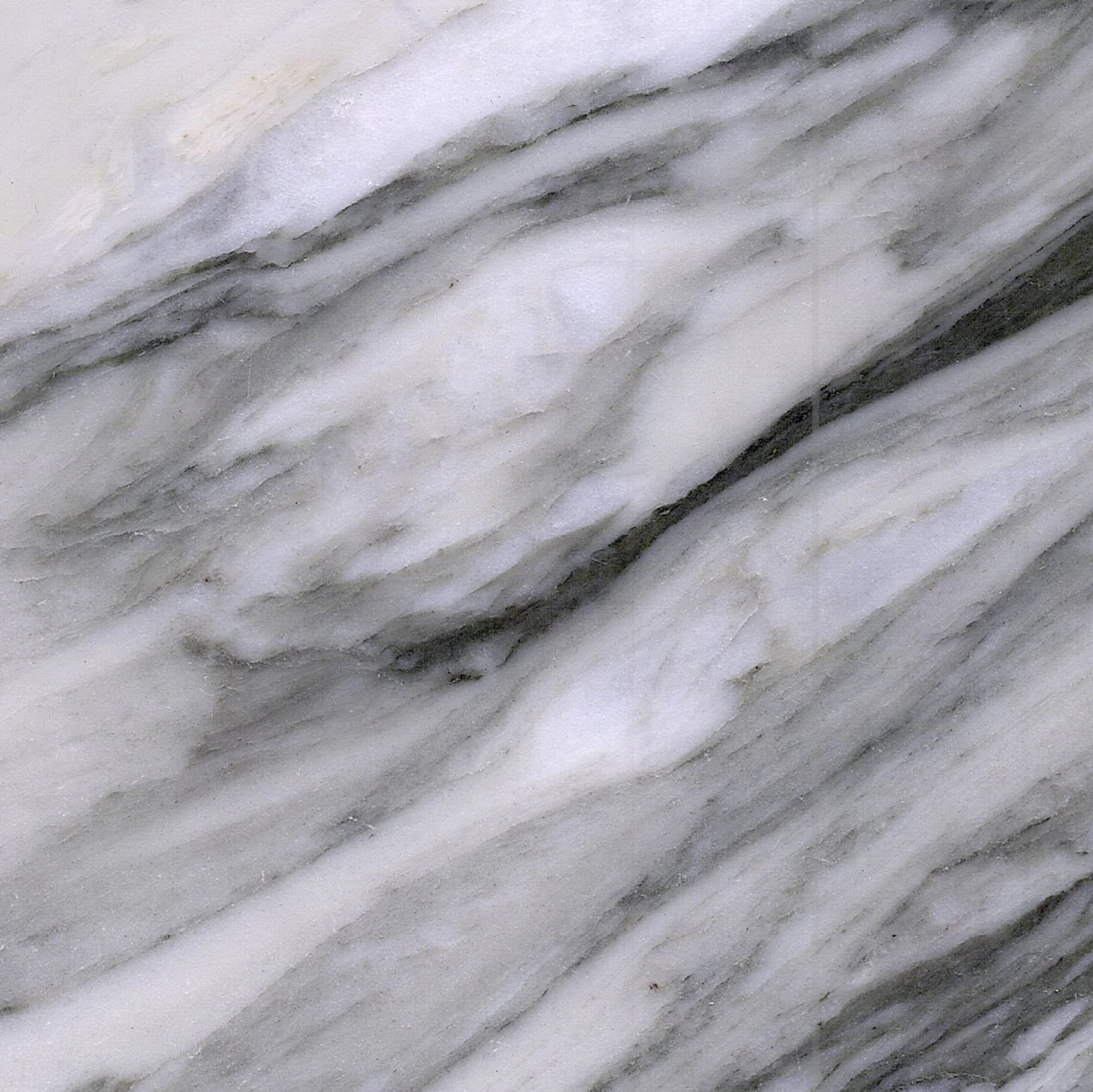 Placa de marmol Calacatta Manhattan Black Tempus Monterrey