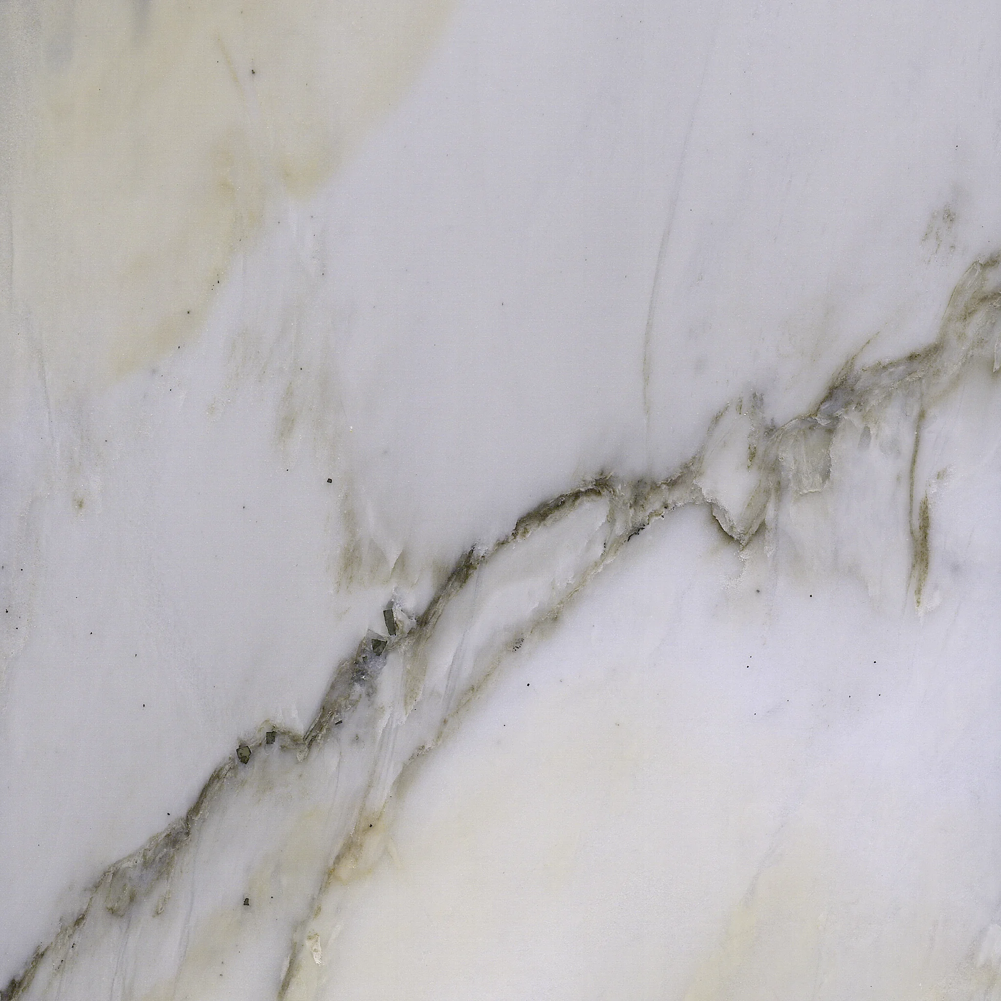 Placa de marmol Calacatta Std Tempus Monterrey