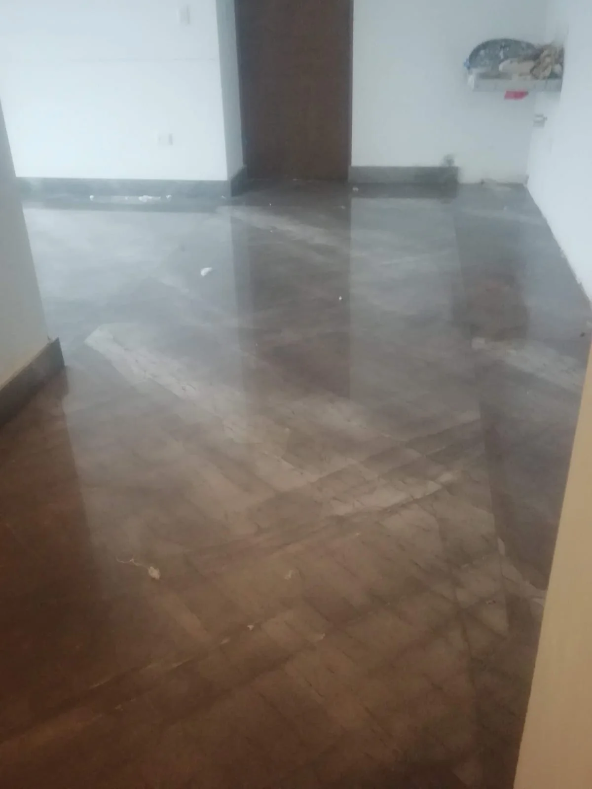 Piso y muro de piedra natural Tempus Monterrey