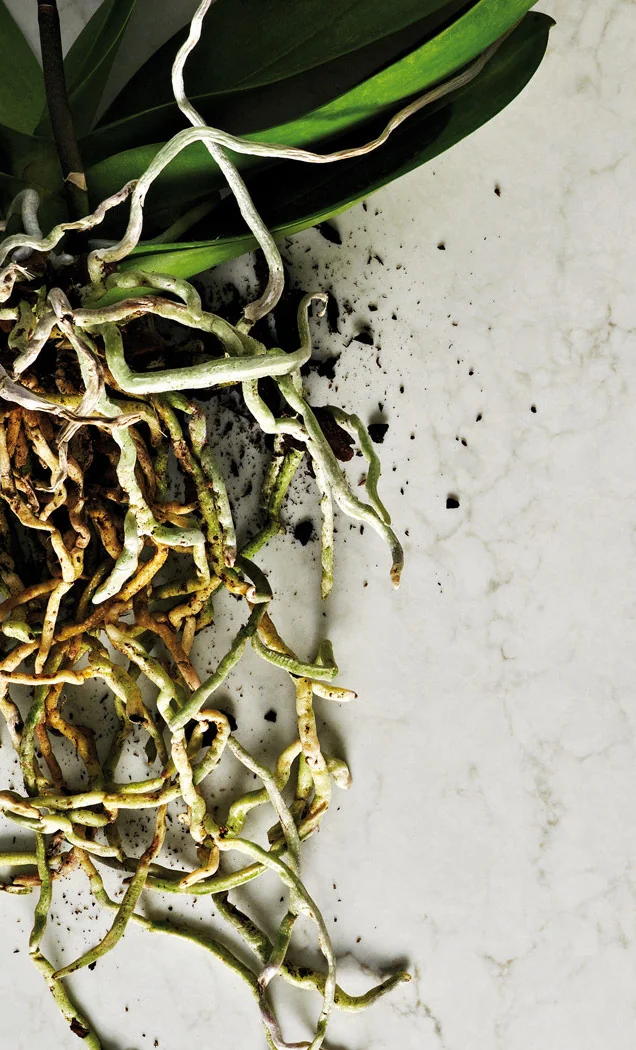 London Grey ambiente 2