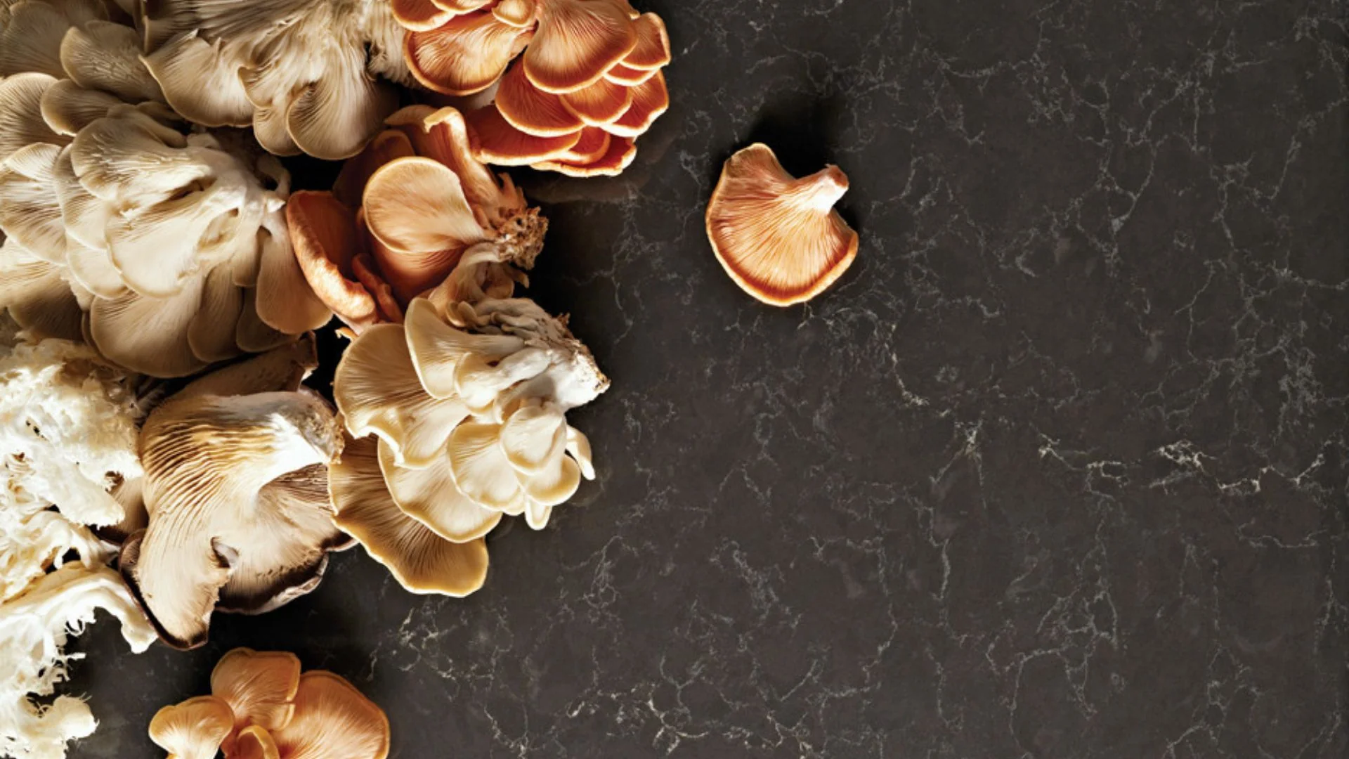 Piatra Grey ambiente 5