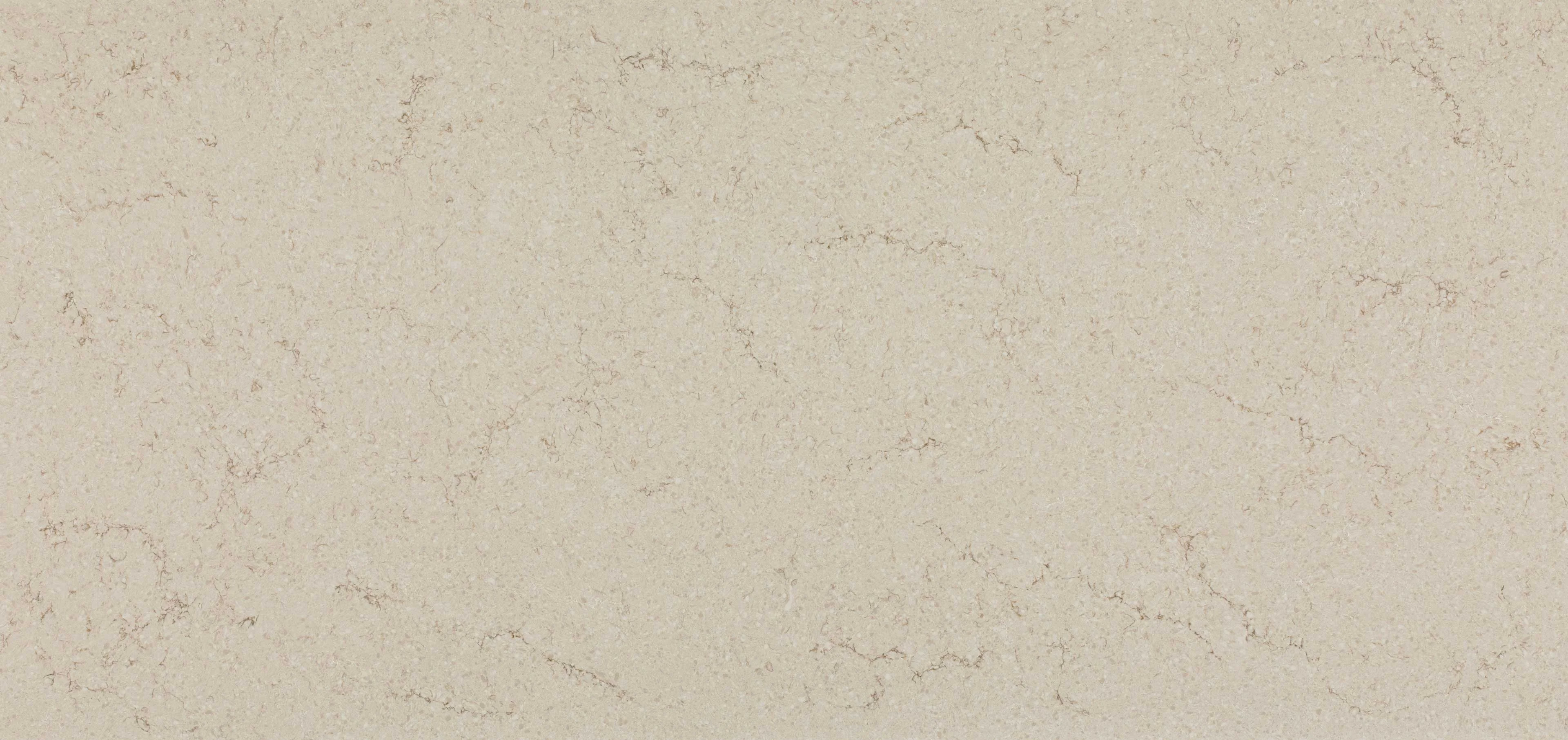 Taj Royale ambiente 6