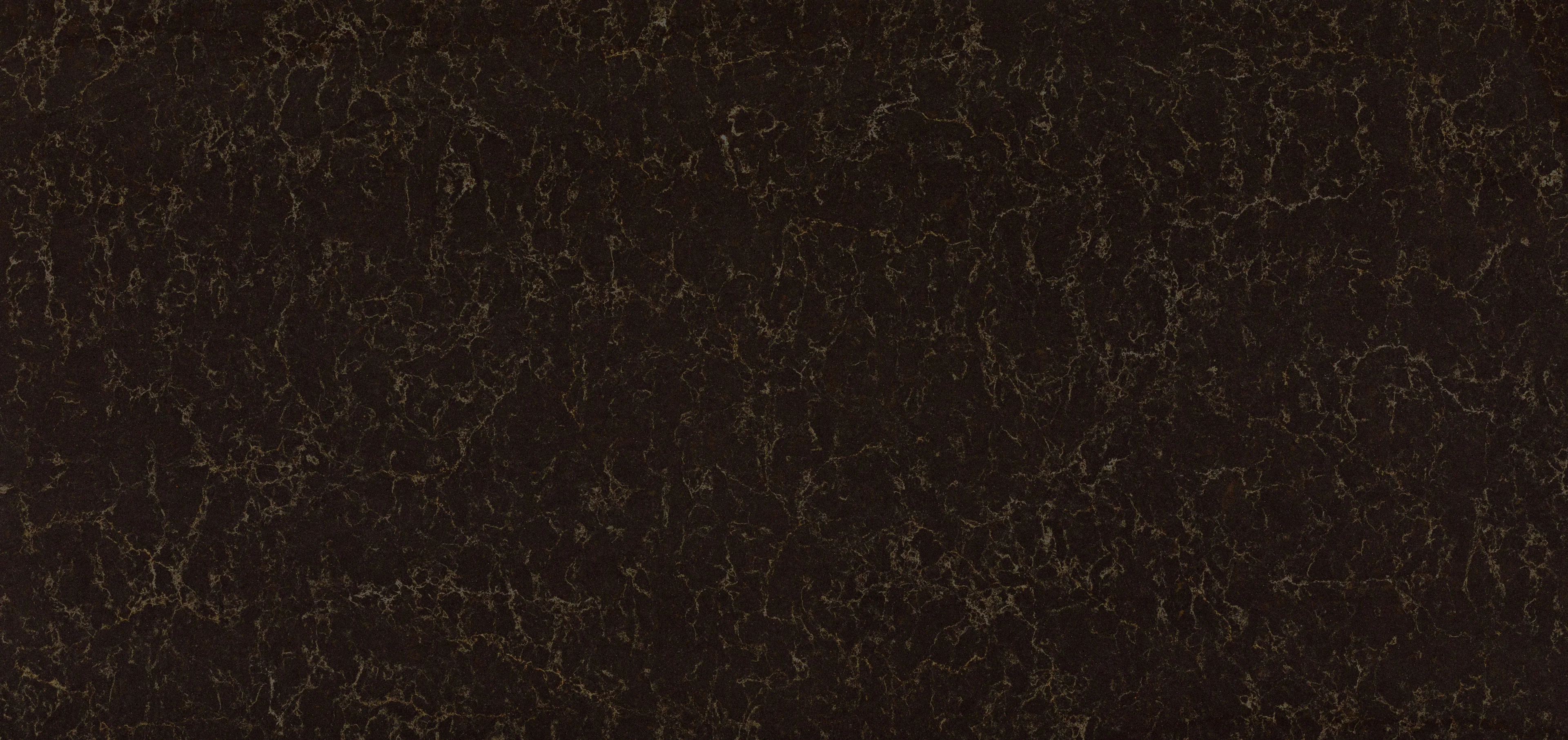 Woodlands ambiente 6