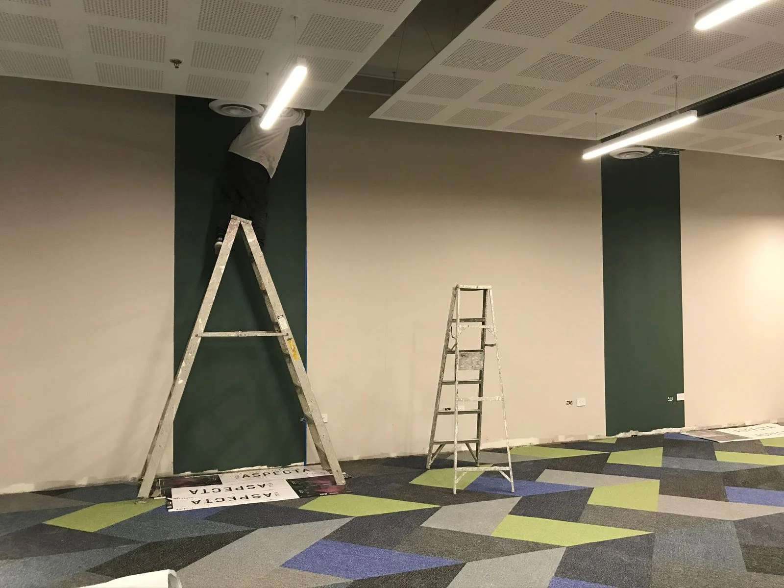 Espacio con muro verde oscuro pintado y andamio sobre alfombra modular — Altos del Roble Tempus Monterrey
